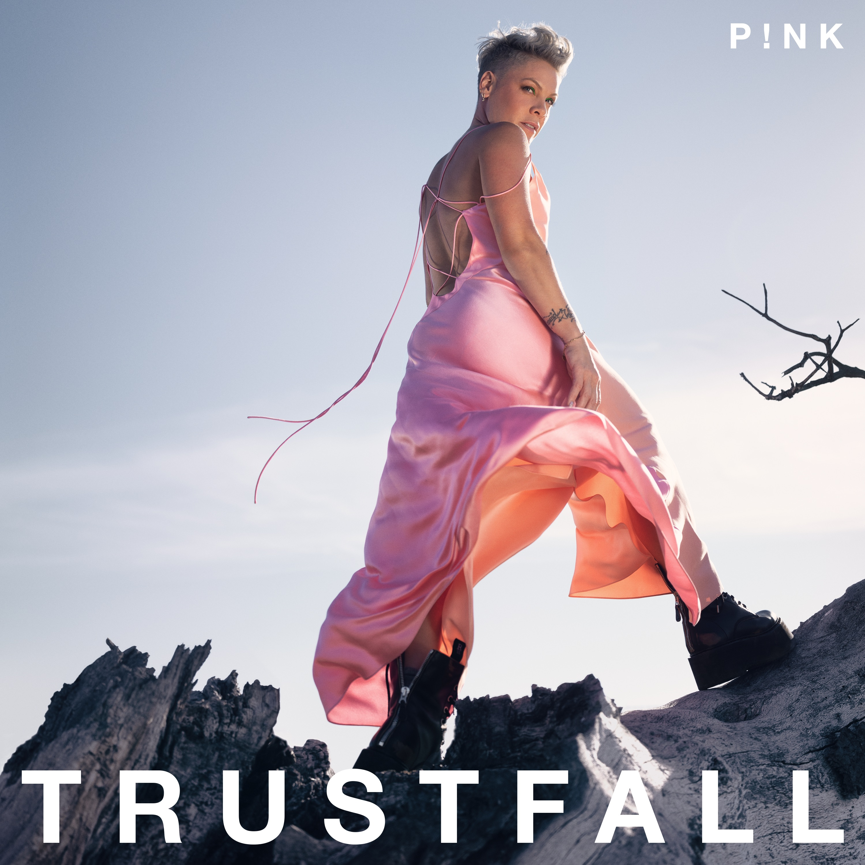 P!nk - Trustfall (2023)